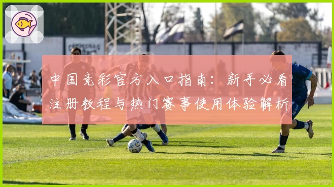 中国竞彩官方入口指南：新手必看注册教程与热门赛事使用体验解析