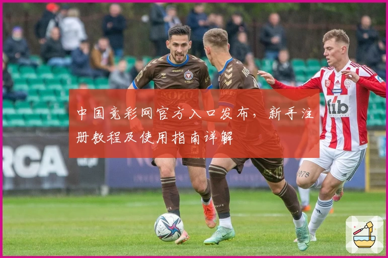 中国竞彩网官方入口发布，新手注册教程及使用指南详解