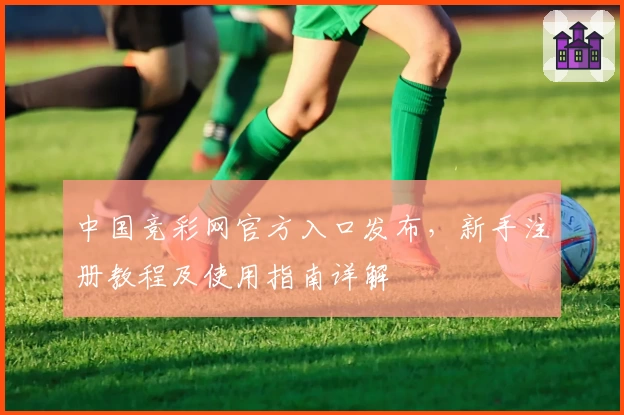 中国竞彩网官方入口发布，新手注册教程及使用指南详解
