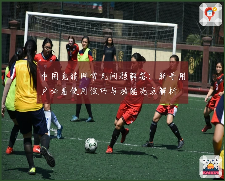 中国竞猜网常见问题解答：新手用户必看使用技巧与功能亮点解析